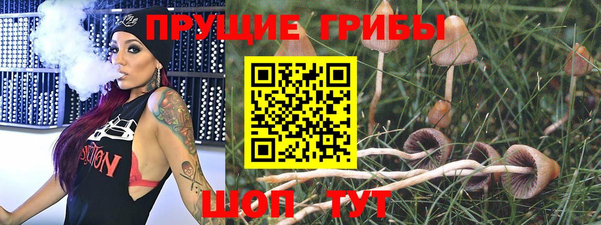 Галлюциногенные грибы MAGIC MUSHROOMS  Вход с VPN  сколько стоит  Чехов 
